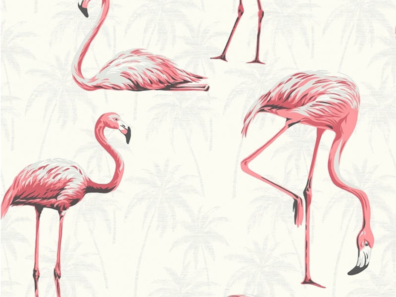 Flamingoes