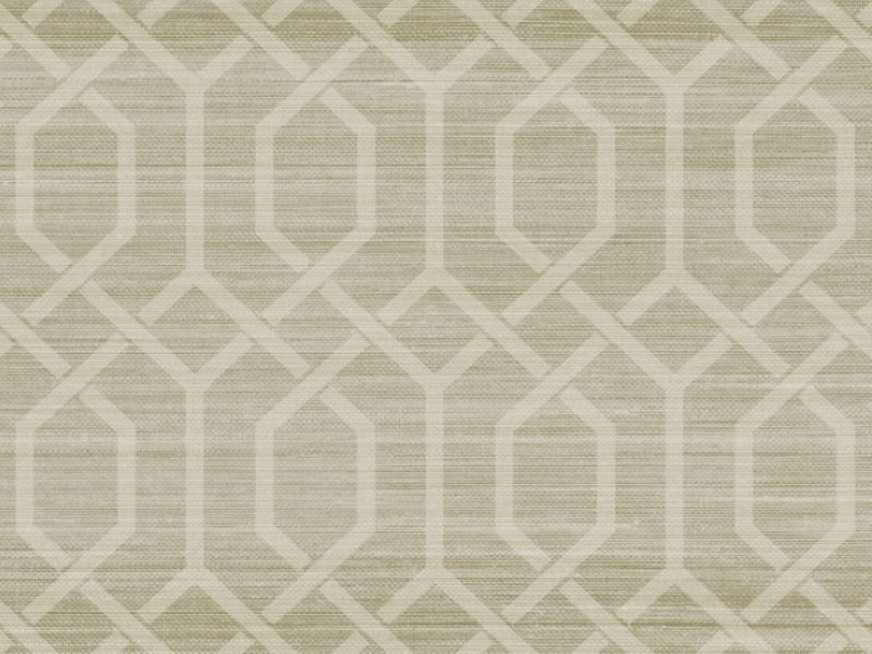 Trellis Grasscloth