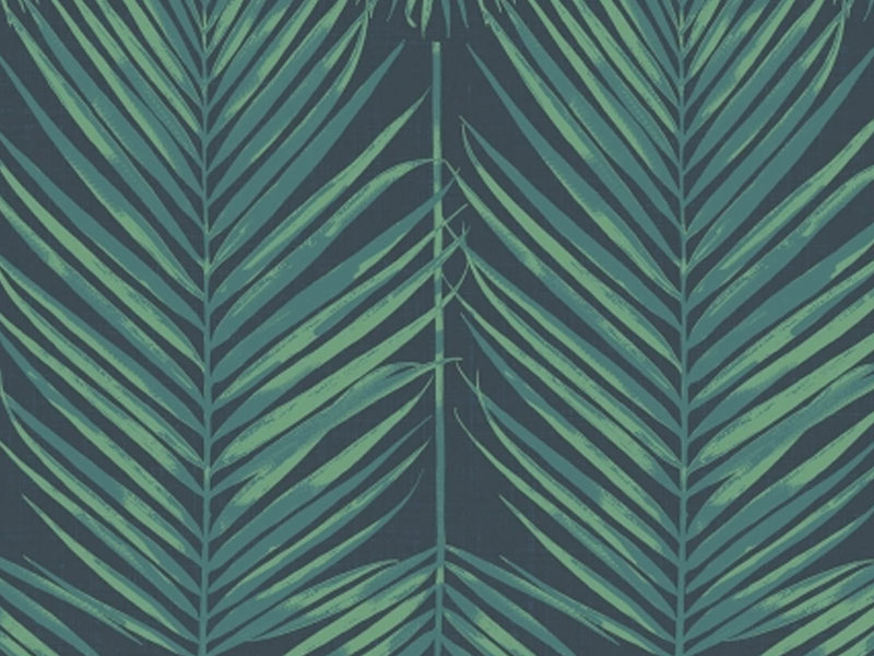 Palm Leaves