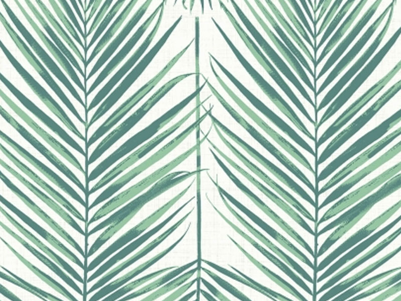 Palm Leaves